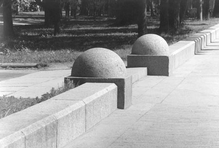 ant_037