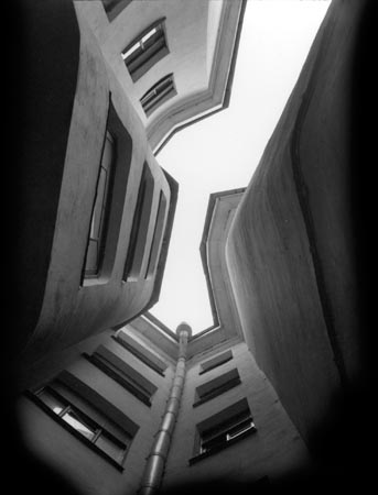 ant_047