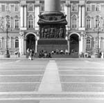 ant_043