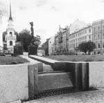 ant_059